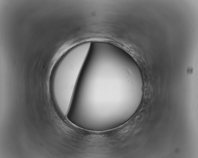 X0000097910296200803141035
