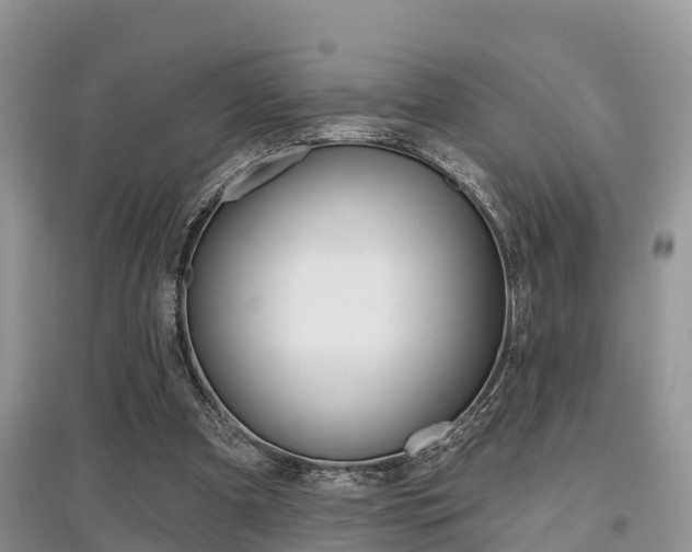 X0000097910297200803141035