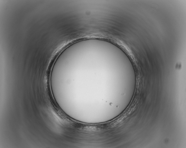 X0000097910298200803141035