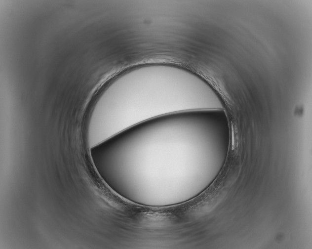 X0000097910300200803141035