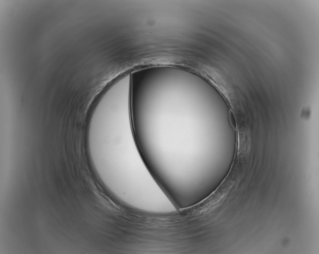 X0000097910301200803141035