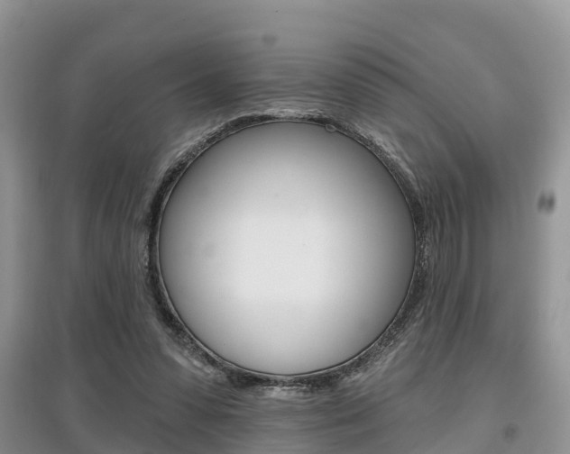 X0000097910303200803141035
