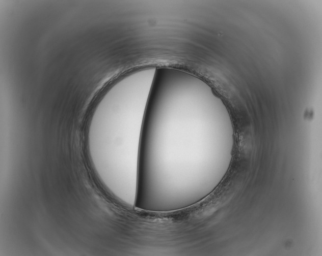 X0000097910304200803141035