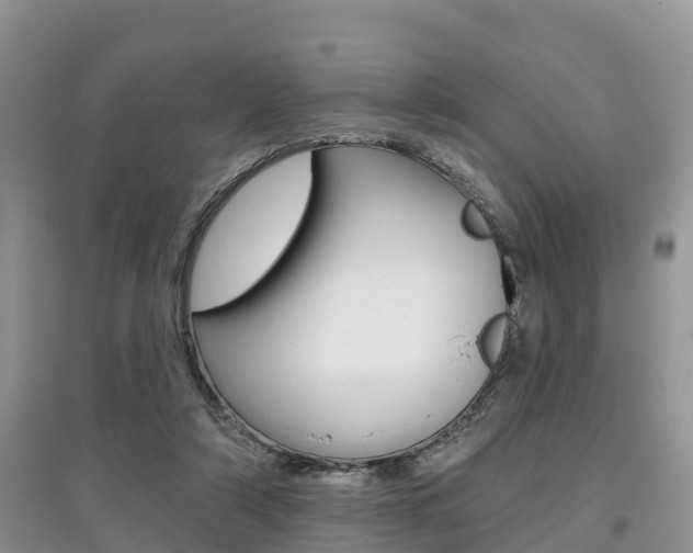 X0000097910306200803141035