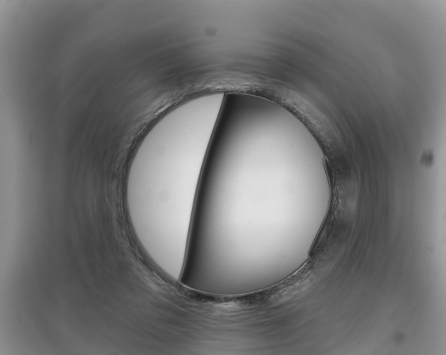 X0000097910309200803141035