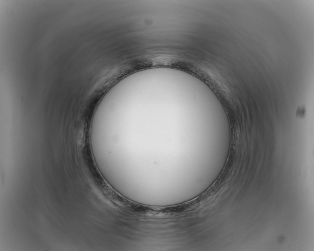 X0000097910311200803141035