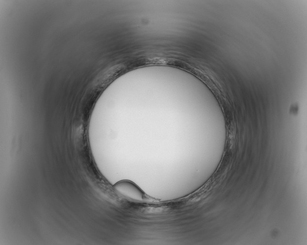 X0000097910314200803141035