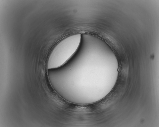 X0000097910315200803141035