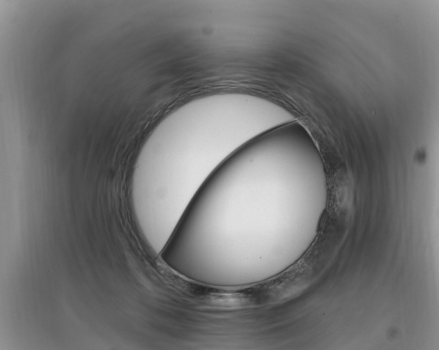 X0000097910316200803141035