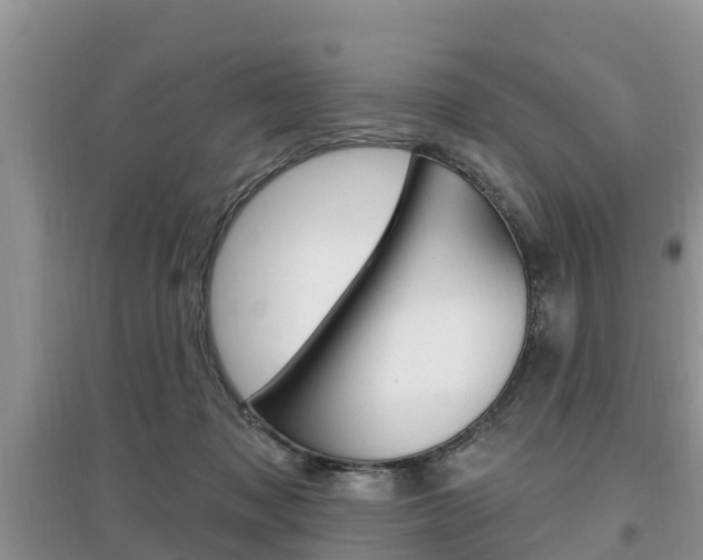 X0000097910317200803141035