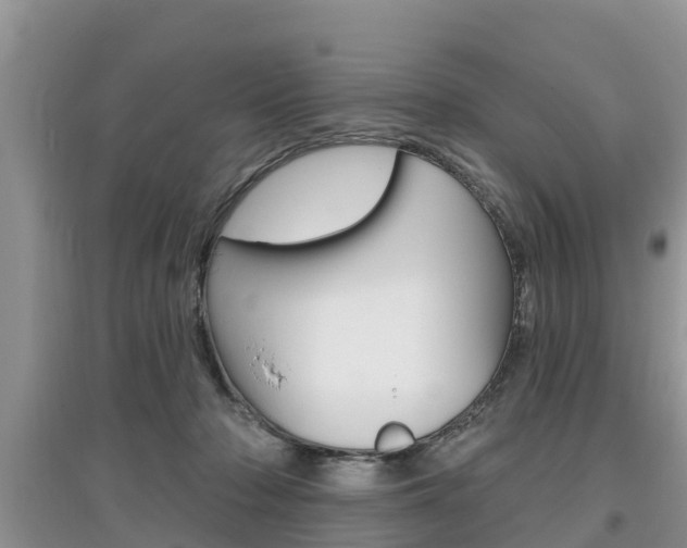 X0000097910318200803141035