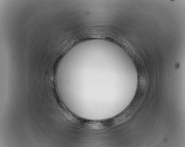 X0000097910322200803141035