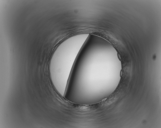 X0000097910325200803141034