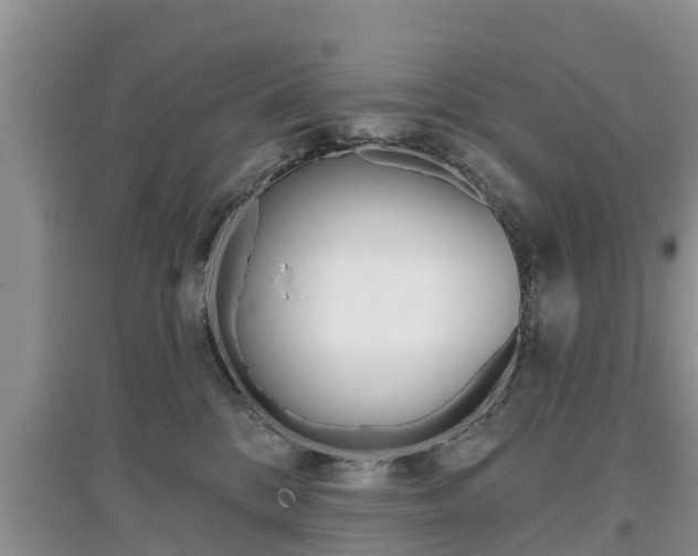 X0000097910328200803141034