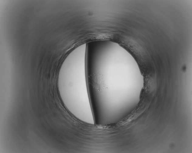 X0000097910329200803141034