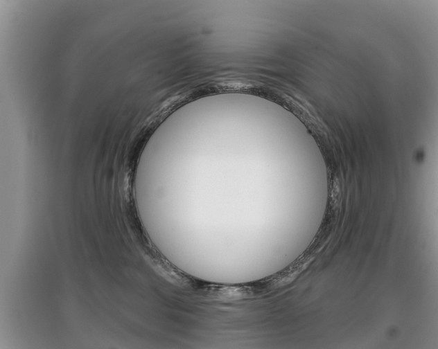 X0000097910330200803141034