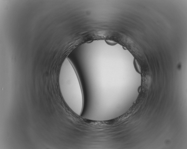 X0000097910331200803141034