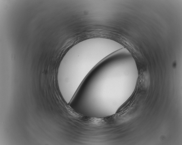 X0000097910333200803141034