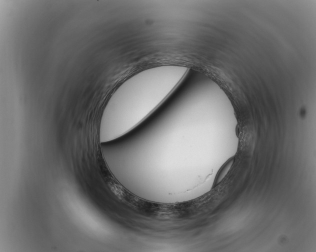 X0000097910335200803141034