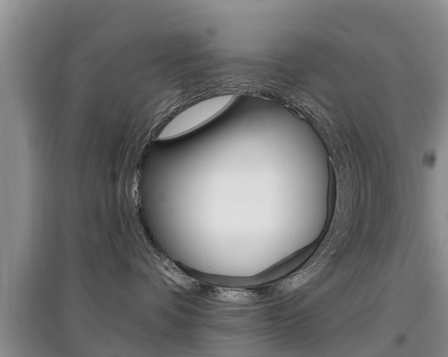 X0000097910336200803141034