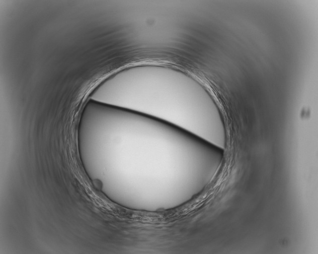 X0000097910337200803141034