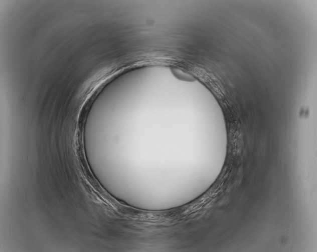 X0000097910338200803141034