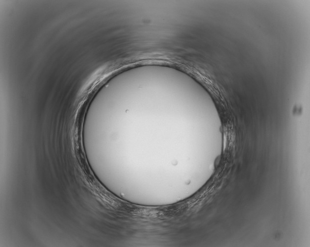 X0000097910339200803141034