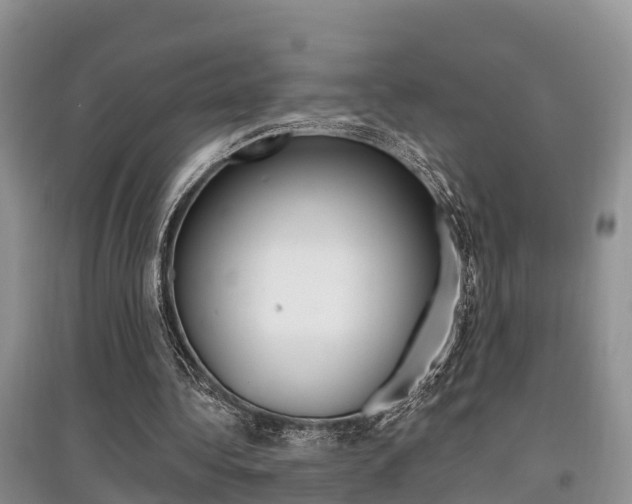 X0000097910340200803141034