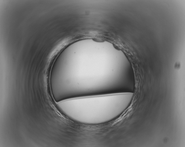 X0000097910341200803141034