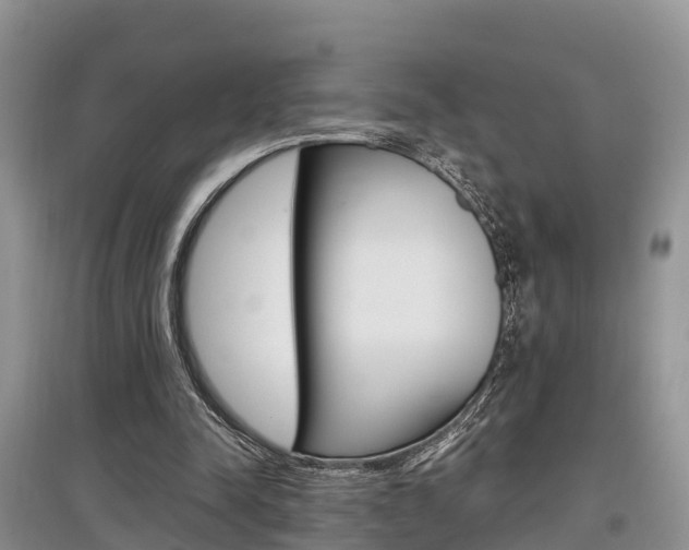 X0000097910342200803141034