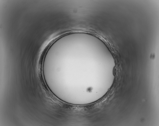 X0000097910343200803141034