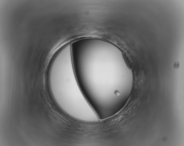 X0000097910344200803141034