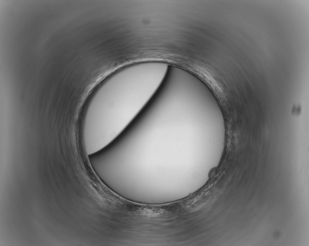 X0000097910346200803141034