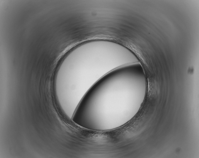 X0000097910348200803141034