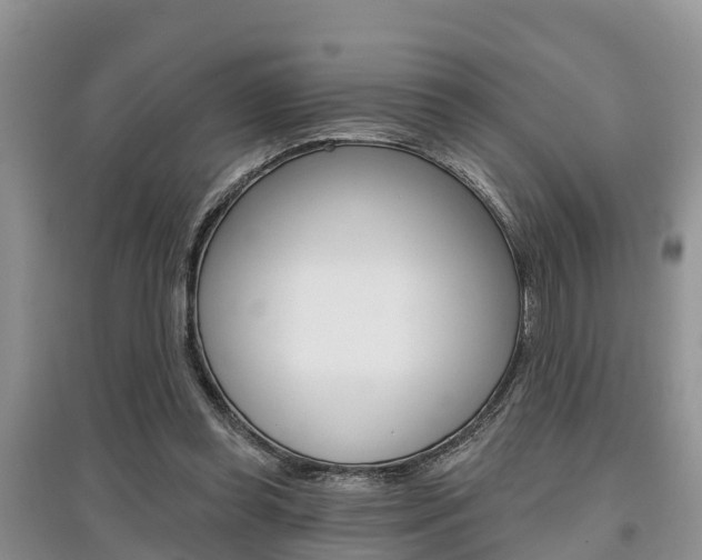 X0000097910349200803141034