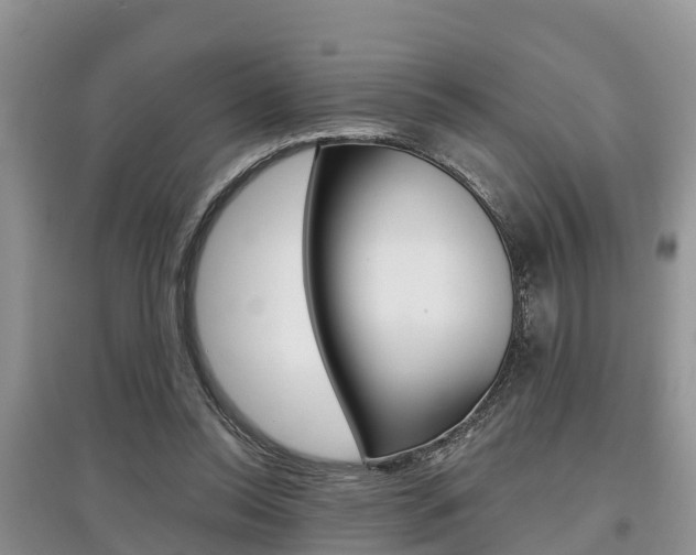 X0000097910350200803141034