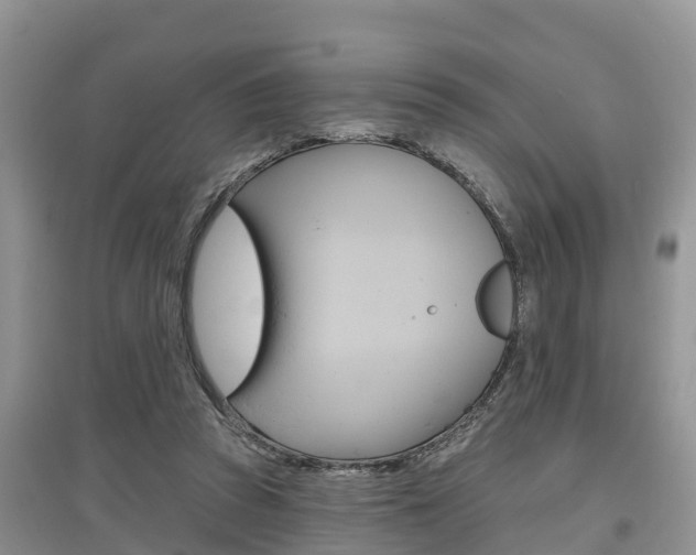 X0000097910353200803141034