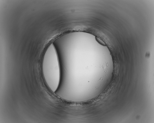 X0000097910354200803141034