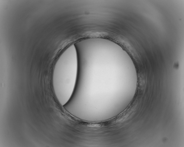 X0000097910357200803141034
