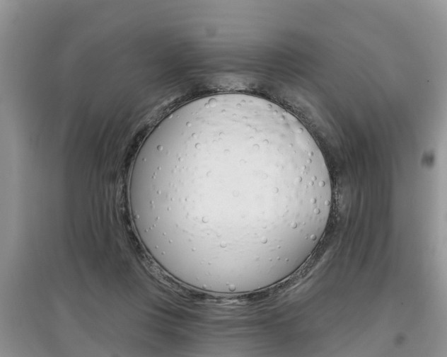 X0000097910359200803141034