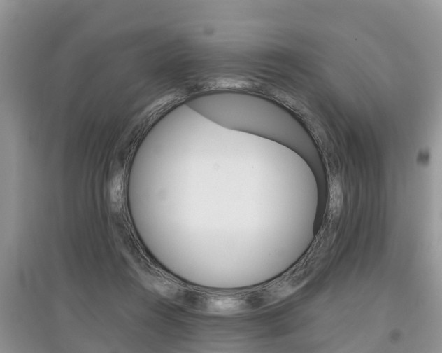 X0000097910360200803141034
