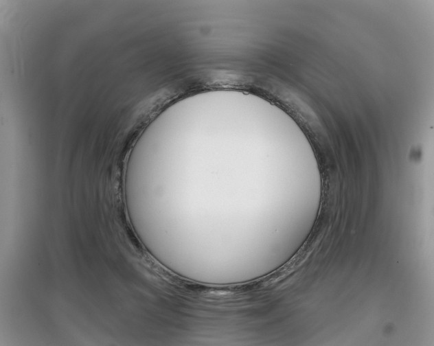 X0000097910361200803141034