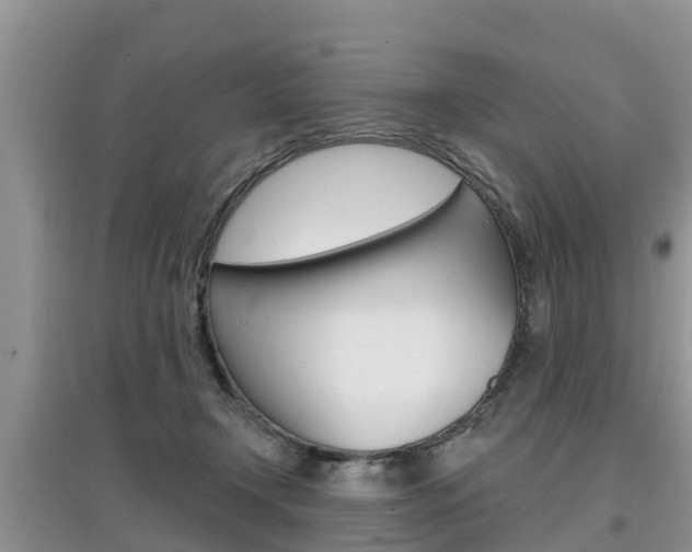 X0000097910366200803141034