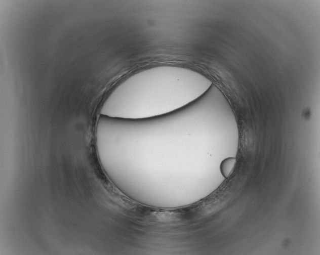 X0000097910367200803141034