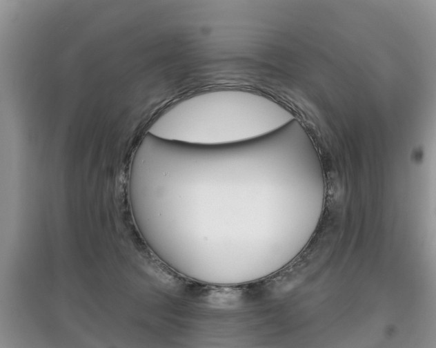 X0000097910369200803141034