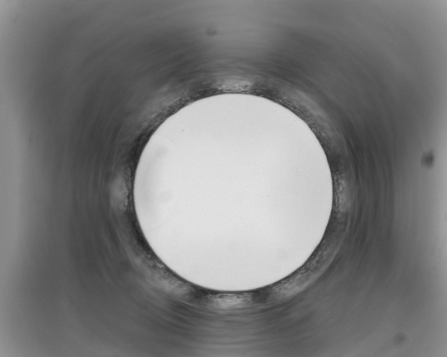 X0000097910370200803141034