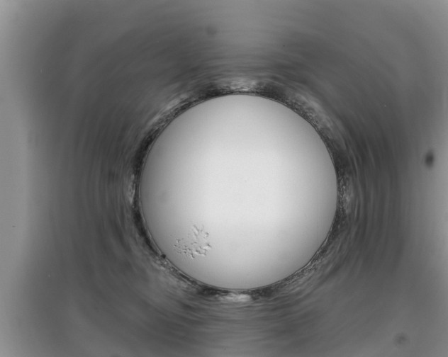 X0000097910374200803141034