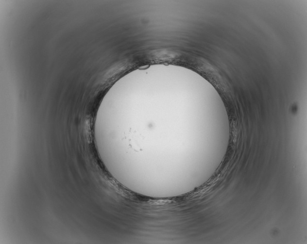 X0000097910378200803141034