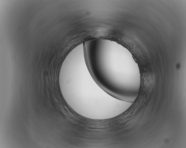 X0000097910380200803141034