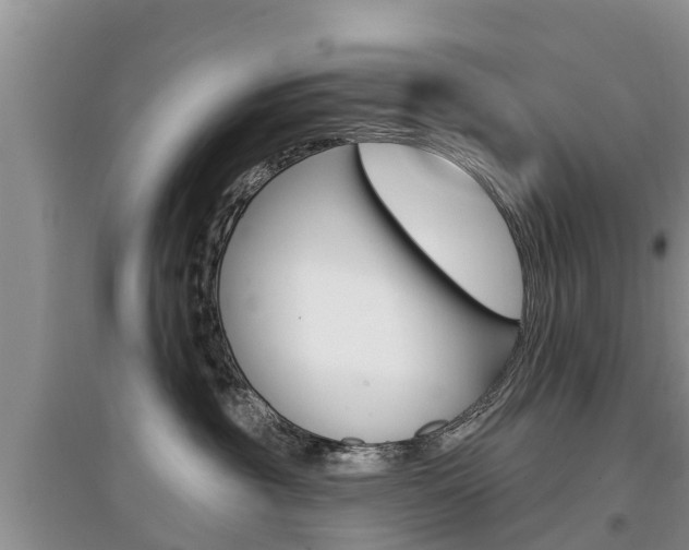 X0000097910381200803141034